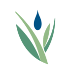 Plants & Pours - logo